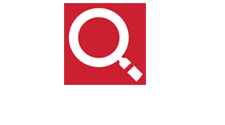 logo max secure